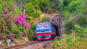 Thông Báo: Vé Tàu Tết 2026 (03/02 - 08/03/2026) Đã Bán Hết